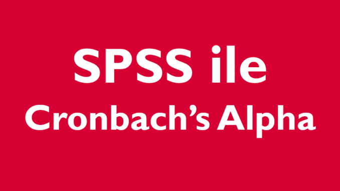 spss ile cronbach's alpha