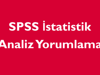 SPSS İstatistik analiz yorumlama