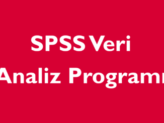 SPSS Veri analiz programı