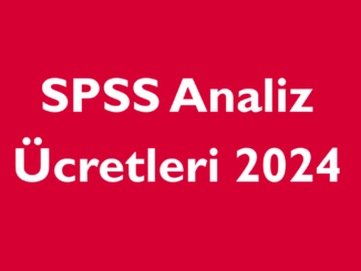 spss analiz ücretleri 2024