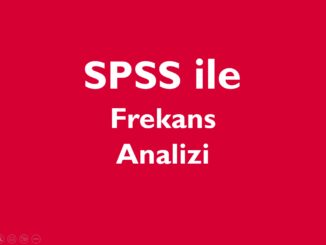 SPSS Frekans Analizi